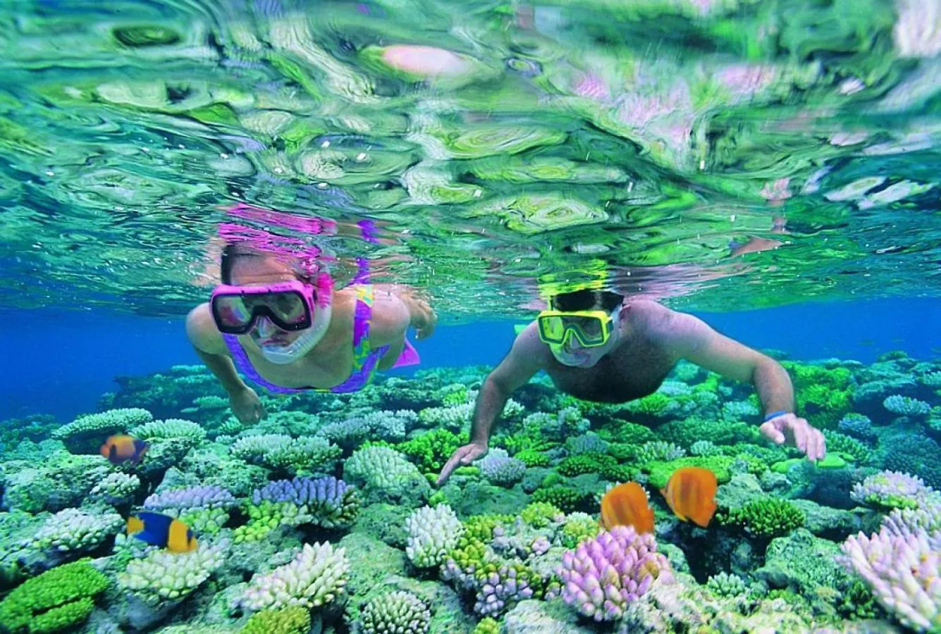 Villa 437 Coral Shore Villa Port Douglas 0*,